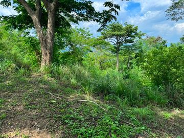 450SQM RESIDENTIAL LOT; PUNTA FUEGO - NASUGBU, BATANGAS - FOR SALE