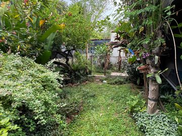 Rumah Asri di Kawasan Hunian Eklusive Taman Radio Dalam Kebayoran Baru Jakarta Selatan