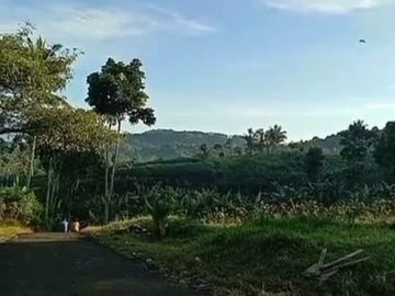 Dijual Tanah Kavling Murah Harga Permeter
