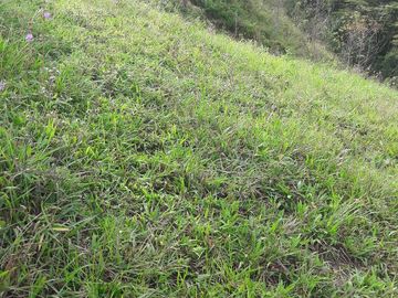 VENTA DE TERRENO EN BARBOSA ANTIOQUIA.