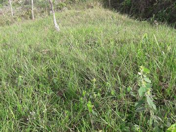 VENTA DE TERRENO EN BARBOSA ANTIOQUIA.