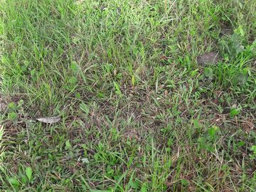 VENTA DE TERRENO EN BARBOSA ANTIOQUIA.