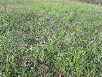 VENTA DE TERRENO EN BARBOSA ANTIOQUIA.