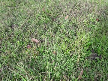 VENTA DE TERRENO EN BARBOSA ANTIOQUIA.