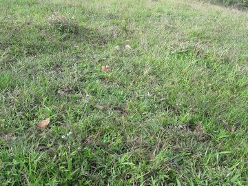 VENTA DE TERRENO EN BARBOSA ANTIOQUIA.