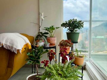 Penthouse Dúplex en Venta – Chapinero Alto