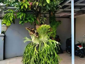 Rumah Sirkulasi Udara Bagus Komplek Margahayu Raya