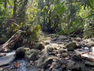 jual tanah kebun Los sungai di tabanan bali