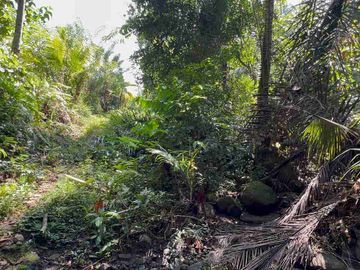jual tanah kebun Los sungai di tabanan bali