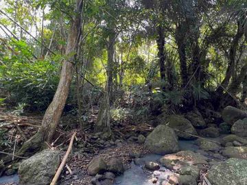 jual tanah kebun Los sungai di tabanan bali