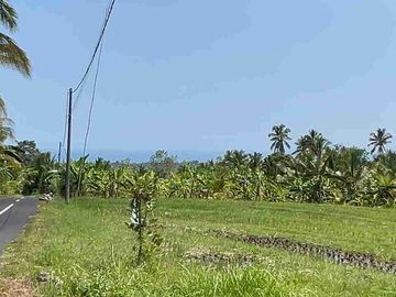jual tanah kebun Los sungai di tabanan bali