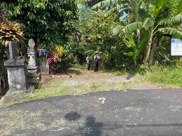 jual tanah kebun Los sungai di tabanan bali