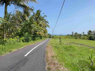 jual tanah kebun Los sungai di tabanan bali