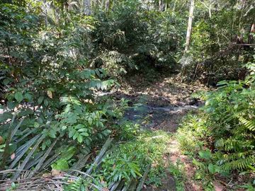 jual tanah kebun Los sungai di tabanan bali
