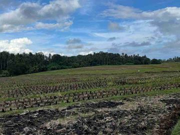 jual tanah 500 meter menuju pantai di tabanan bali