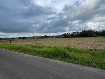 jual tanah 500 meter menuju pantai di tabanan bali