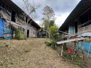 jual tanah kebun contour datar view sawah, sudah berisikan kandang ayam di tabanan bali.