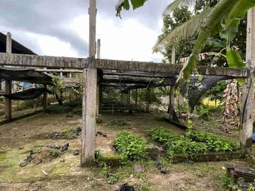 jual tanah kebun contour datar view sawah, sudah berisikan kandang ayam di tabanan bali.