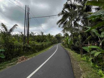 jual tanah kebun contour datar view sawah, sudah berisikan kandang ayam di tabanan bali.
