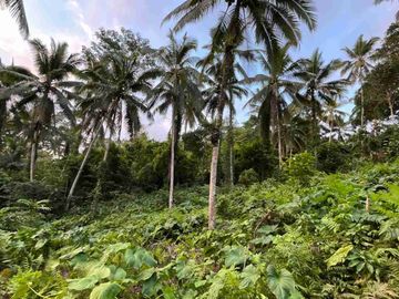 jual tanah kebun Los sungai, view sawah cantik dan sunset yang indah di tabanan bali.