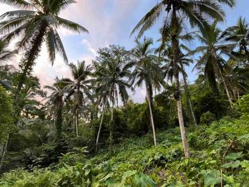 jual tanah kebun Los sungai, view sawah cantik dan sunset yang indah di tabanan bali.