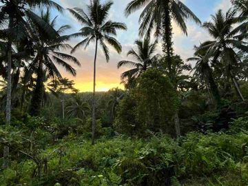 jual tanah kebun Los sungai, view sawah cantik dan sunset yang indah di tabanan bali.