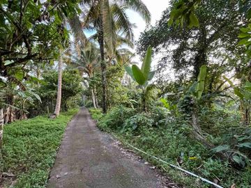 jual tanah kebun Los sungai, view sawah cantik dan sunset yang indah di tabanan bali.