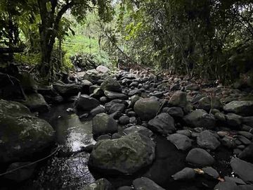 jual tanah kebun Los sungai, view sawah cantik dan sunset yang indah di tabanan bali.