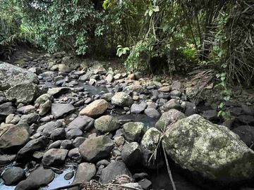 jual tanah kebun Los sungai, view sawah cantik dan sunset yang indah di tabanan bali.