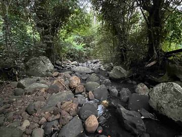 jual tanah kebun Los sungai, view sawah cantik dan sunset yang indah di tabanan bali.