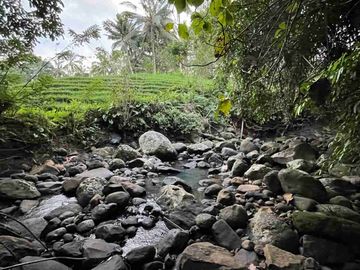jual tanah kebun Los sungai, view sawah cantik dan sunset yang indah di tabanan bali.