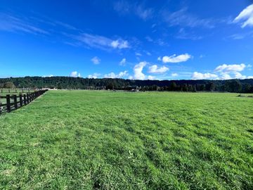 PARCELA, GRANEROS DE CHAMIZA, PUERTO MONTT
