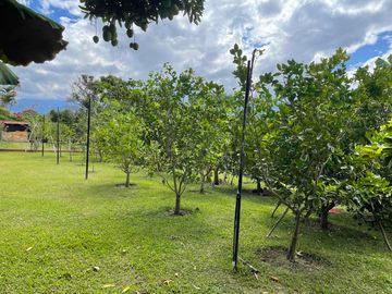Lote Campestre de 1.167 m² con Amplia Placa en Concreto de 250 m² | Chinauta