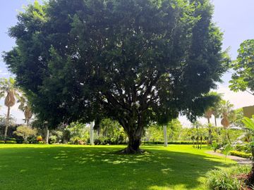 Majestuosa residencia única en el mercado