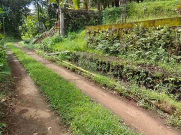 jual global tanah kebun 350 juta global di penebel tabanan bali.