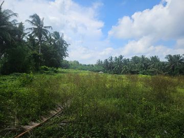 DISEWAKAN TANAH JANGKA PANJANG AREA GULINGAN MENGWI
