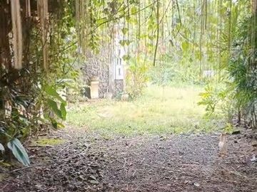 Tanah Luas Bonus Bangunan Cocok Untuk Investasi Lokasi Favorit di Sleman