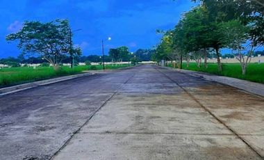 FORBES HILL