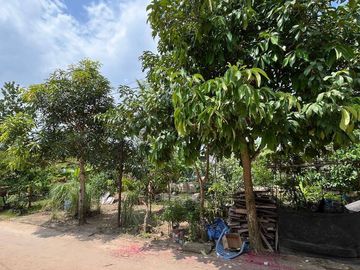 DIJUAL Rumah 1 Lantai Citra Permata Residence, Sekupang