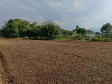 1 Rai for sale outside the popular village of Wieng Nur