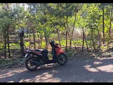 Kebun Strategis Dekat Bilibili