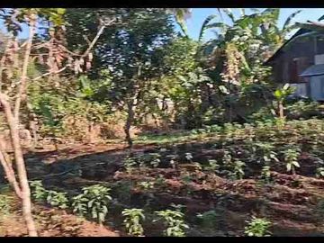 Kebun Strategis Dekat Bilibili