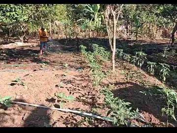 Kebun Strategis Dekat Bilibili