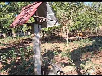 Kebun Strategis Dekat Bilibili