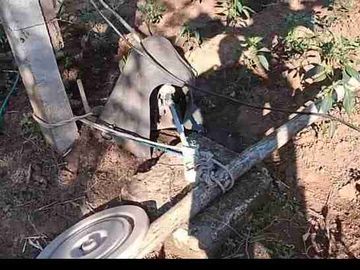 Kebun Strategis Dekat Bilibili