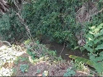 Kebun Strategis Dekat Bilibili