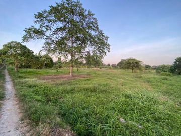 Agricultural Lot For Sale in Bulacan
