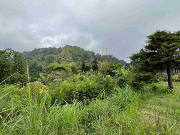 jual property tanah view danau cantik zona pink di tabanan bali