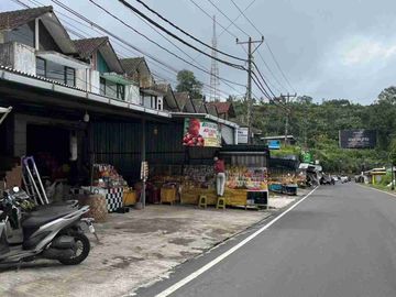 jual property tanah view danau cantik zona pink di tabanan bali