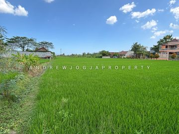 Jual Tanah Sewon Bantul Depan Politeknik ATK Harga Bu Nego Sampai Deal